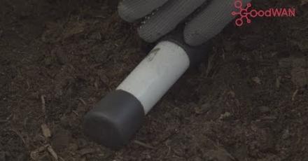 GoodWAN: датчик измерения температуры