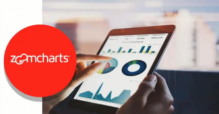 Визуализация данных Zoomcharts для повышения скорости и качества внедрения Microsoft Power BI