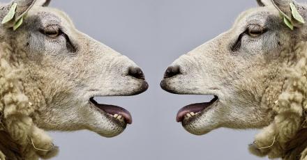 Рецензия: Марк Гоустон 