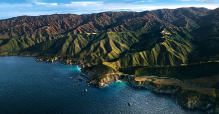 Сервер ВКС Vinteo: как рассчитать необходимую мощность сервера и для чего в нем нужны видеокарты