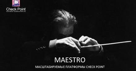 Check Point Maestro